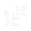 a close up of a logo